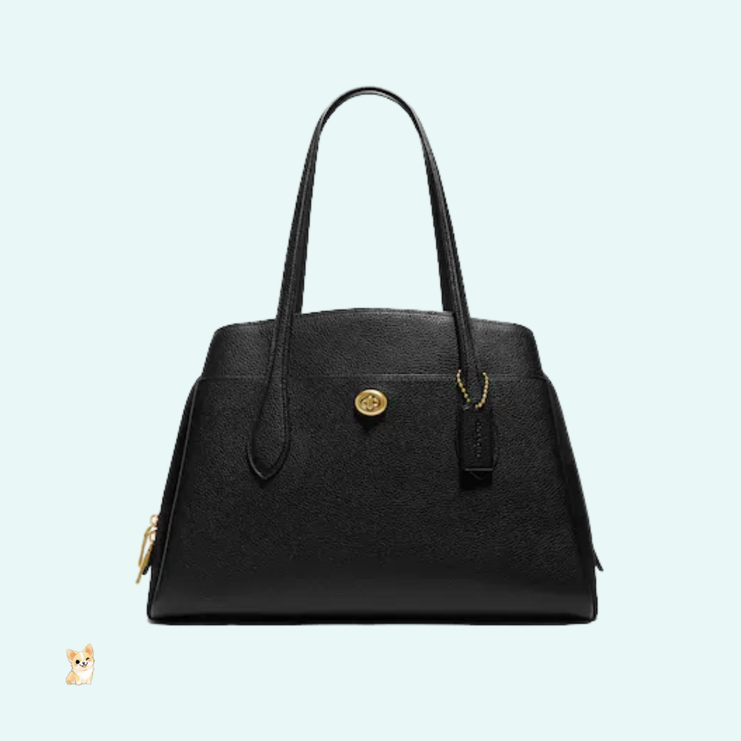 Coach Lora Carryall