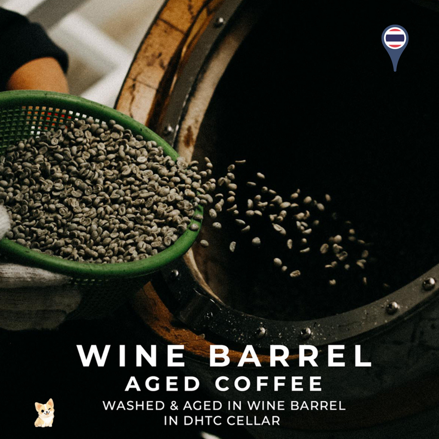 Doi Chaang Coffee Sweet Wine Barrel Aged  - Medium-Light Roasted (250g)