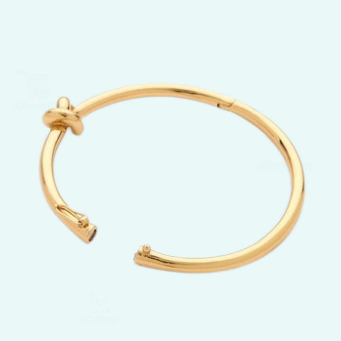 Kate Spade Sailors Knot hinge bangle / earrings